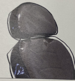 protective vinyl cover - clear